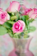 bouquet of pink roses in a vase, blur
