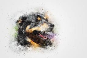 dog portrait art drawing