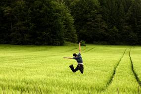 Young man is jumping on a beautiful green arable field near the green trees