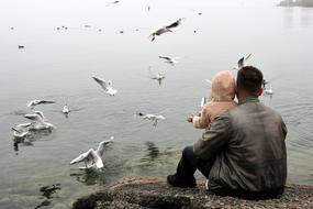 Father Child Love Lake birds