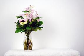 Beautiful and colorful bouquet with flowers and green leaves in the glass vase with water, on the white surface