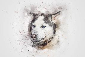 dog face portrait art abstract drawing