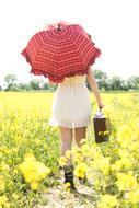 girl vith vintage suitcase and umbrella walking away through rape Field
