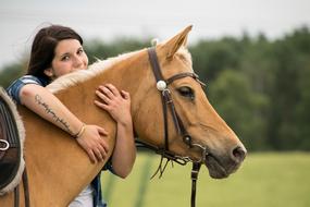 Horse and girl, Friendship