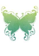 Beautiful, decorated, green butterfly, at white background