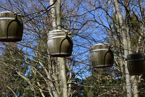 Wood Tree Old wooden barrels