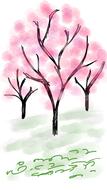spring pink tree drawing