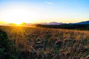Sunset over dry grass