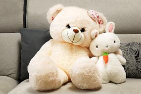 Toys Teddy Bear and bunny