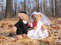 Just Married bears toys in forest