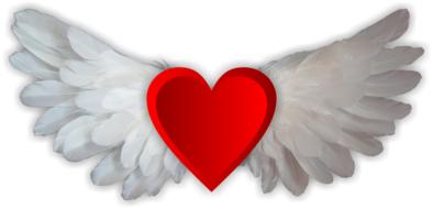 Beautiful, red heart with the white and grey wings, clipart