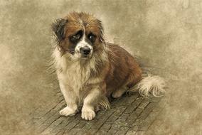 animal dog unhappy sad art drawing