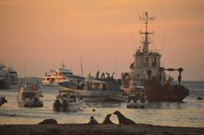 ships and boats near galapagos islands