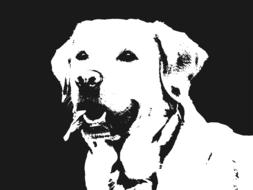 labrador dog retriever illustration