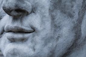Face as a Sculpture