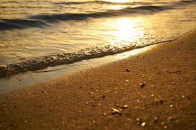 glossy waves at sand beach, Background