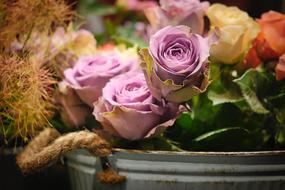 different roses in a bucket on a blurred background