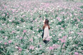 Girl, among the beautiful field, with the pink, white and purple flowers with green leaves