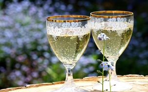 alcoholic Champagne in Glasses