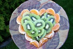 Beautiful and colorful heart made of the kiwis and mandarin on the patterned plate, among the green plants