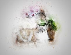 Cat Pet White drawing