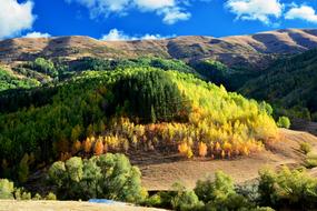 Landscape of Nature in Kackars