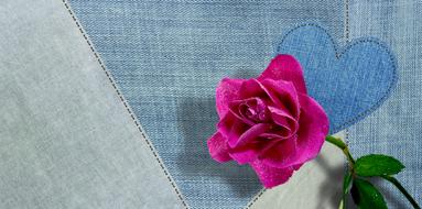 Jeans Fabric Blue and pink rose