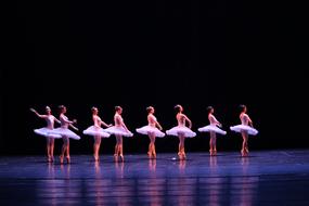 Ballet Theatre Dance girls