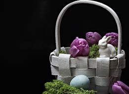 bunny in an easter basket with purple tulips