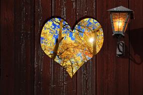 fall leaves and wood fence