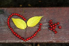 Colorful and beautiful leaves and red berries in the form of heart on the wooden surface