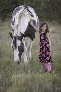 Child girl with pinto Horse on meadow
