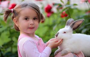 portrait of Girl and Rabbit Friendship