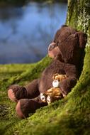 big and small Teddy bears sitting together, Soft Toys