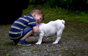 little boy with white puppy