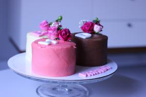 Sweet Cream Cake pink white