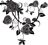 roses flowers gray black drawing