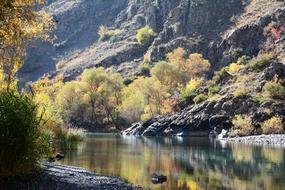 nature near the river in the canyon