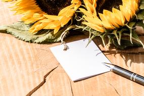 Greeting Card and flowers