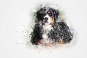 dog art abstract drawing