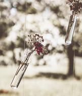 Romanticism Poetry Retro flowers