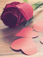 Close-up of the beautiful, purple rose flower and red hearts on the wooden table