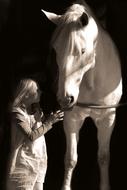 photo of Girl and white Horse