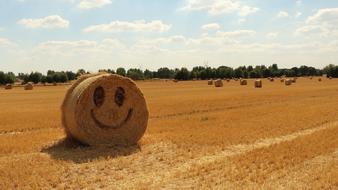 Straw Halmballe Agriculture face