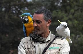 Friends Birds and man