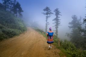 landscape of foggy Mountain Natural Lifestyle