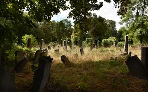 landscape of old Cemetery Tombstone