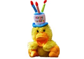 Duck Birthday Happy Soft toy