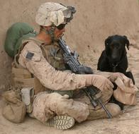 Soldier and Dog Companion