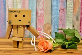 danbo and tea rose on the background of colorful boards